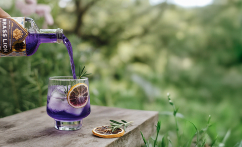 Brass Lion Butterfly Pea Gin